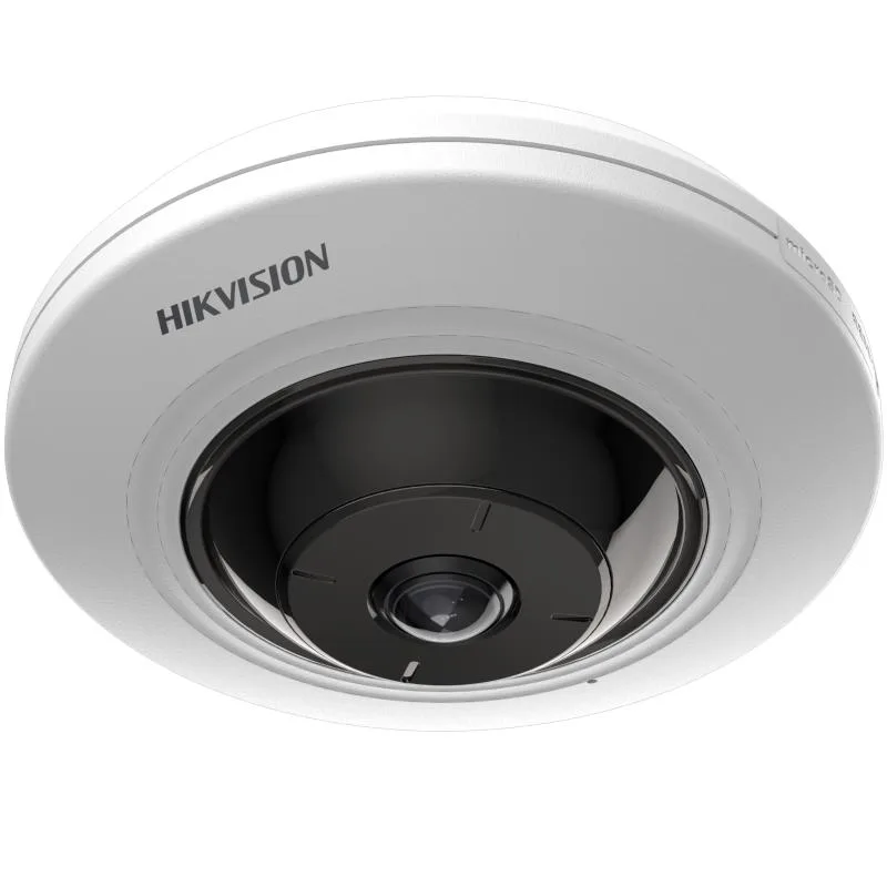 Hikvision DS-2CD2955G0-ISU 3
