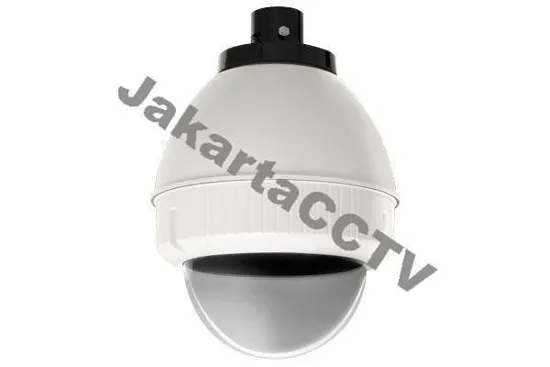 Axis Pendant Dome Outdoor