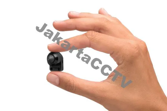 Axis P1204