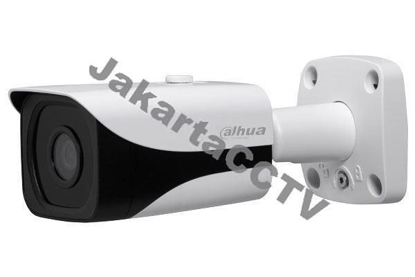 Gambar Dahua IPC-HFW8301E